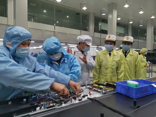 一季度江门外贸量质齐增 口岸营商环境优化与新材料技术推广服务激发新活力